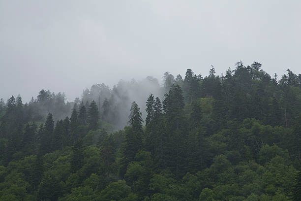 great smoky die berge von nat. park, tn, nc - south highlands stock-fotos und bilder