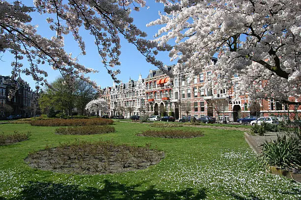 "Spring blossoms in posh The Hague Statenkwartier neighborhood, Holland"