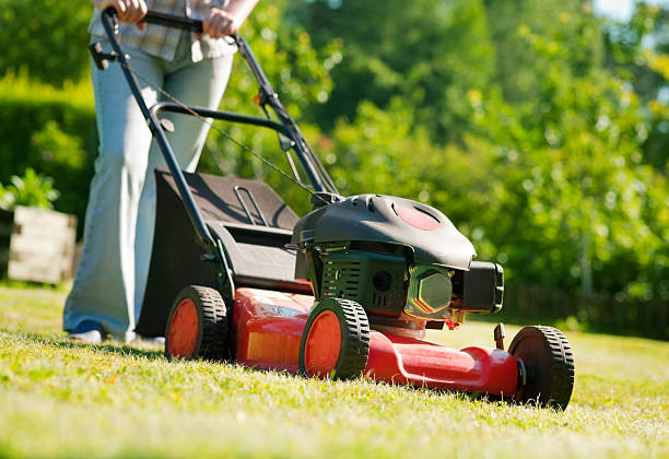 istock Red push lawnmower on sunny day 176951537