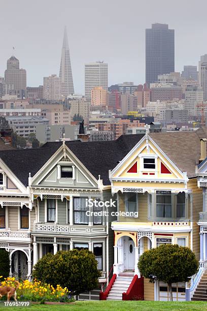 Alamo Square São Francisco - Fotografias de stock e mais imagens de Ao Ar Livre - Ao Ar Livre, Arquitetura, Arranha-céu