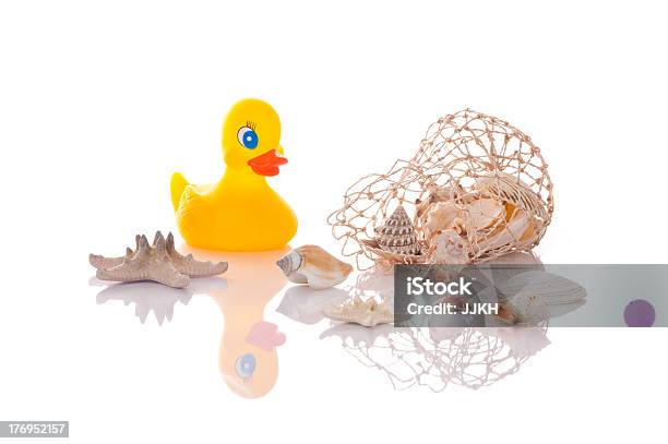 Pato Baño Con Seashells Y Una Estrella De Mar Foto de stock y más banco de imágenes de Almeja - Animal - Almeja - Animal, Amarillo - Color, Animal