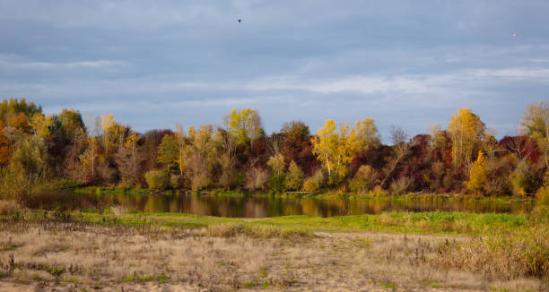 istock Autumn trees by the river. 1769522339