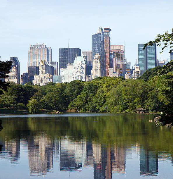 istock New York City Skyline from Central Park 176952998