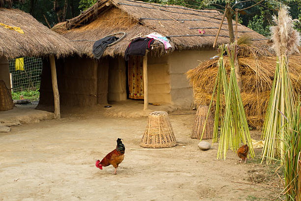 nepalese farm nepalese traditional farm in chitwan, nepal chitwan national park photos stock pictures, royalty-free photos & images