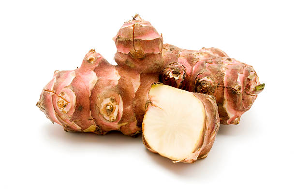 photograph of two jerusalem artichokes on white background - jordärtskocka bildbanksfoton och bilder