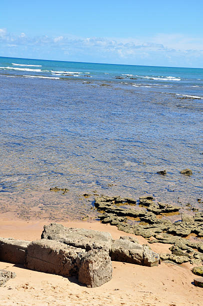 Praia do Forte stock photo