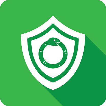 Vector illustration of a shield with snake eating its own tail against a green background in flat style.