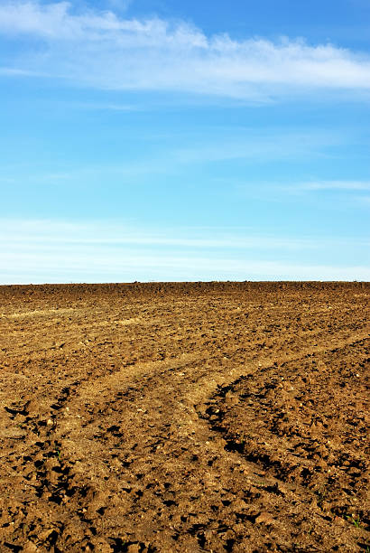 istock Texture of cultivated field. 176954918