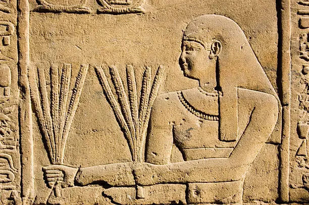 "Ancient Egyptian stone carving of a priest carrying stalks of wheat.  Temple of Horus, Edfu, Egypt."