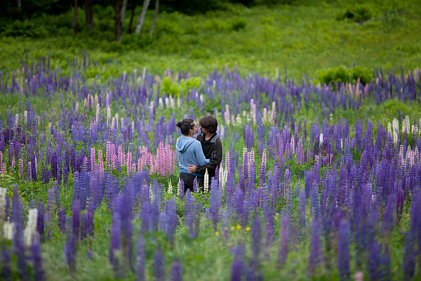 Lupine Flower Couple in Love stock photo