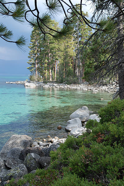 Lake Tahoe Shore stock photo
