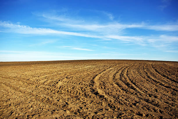 istock Texture of cultivated field. 176956054