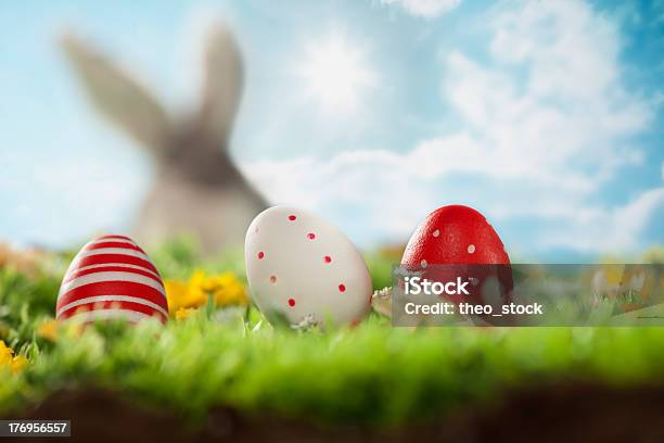 Pasqua - Fotografie stock e altre immagini di Ambientazione esterna - Ambientazione esterna, Animale, Arancione