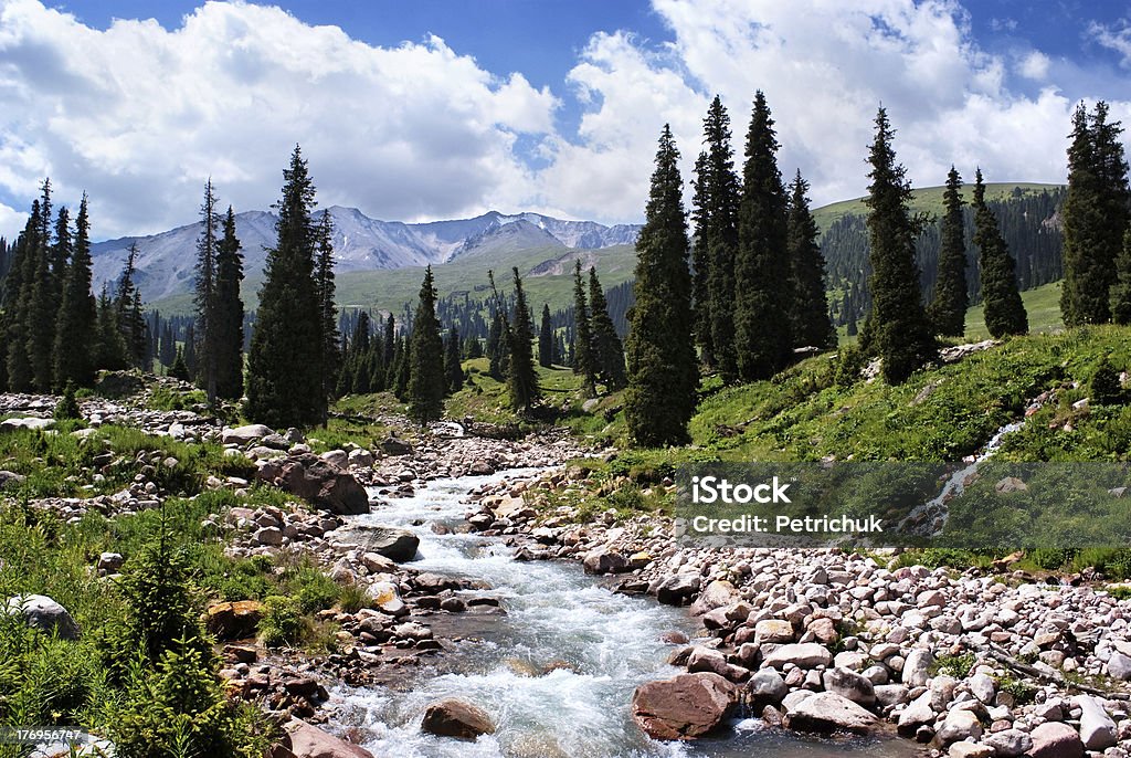 Summer mountain valley "Summer mountain valley, Kazakhstan, Tyan-Shan mountains" Beauty In Nature Stock Photo