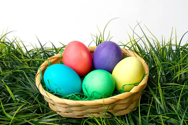 Photo of easter eggs with green gras. Studiolight