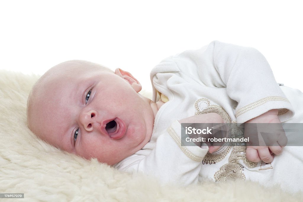 Little Baby Baby on a sheepskin. Baby is three month old. Studiolight with white background. Baby - Human Age Stock Photo