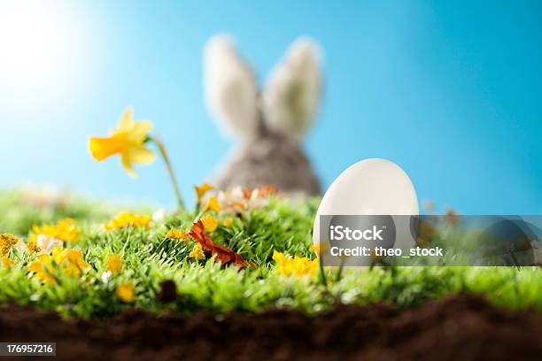 Easter Egg Stock Photo - Download Image Now - Agricultural Field, Art, Art And Craft