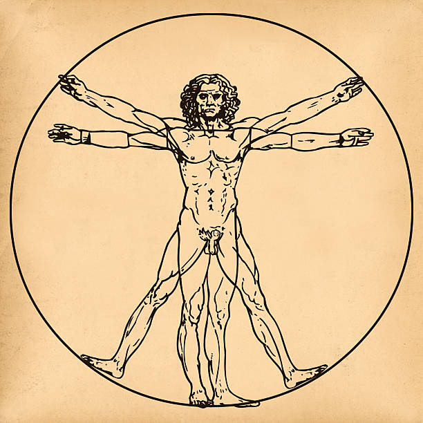 Vitruvian man on old paper background