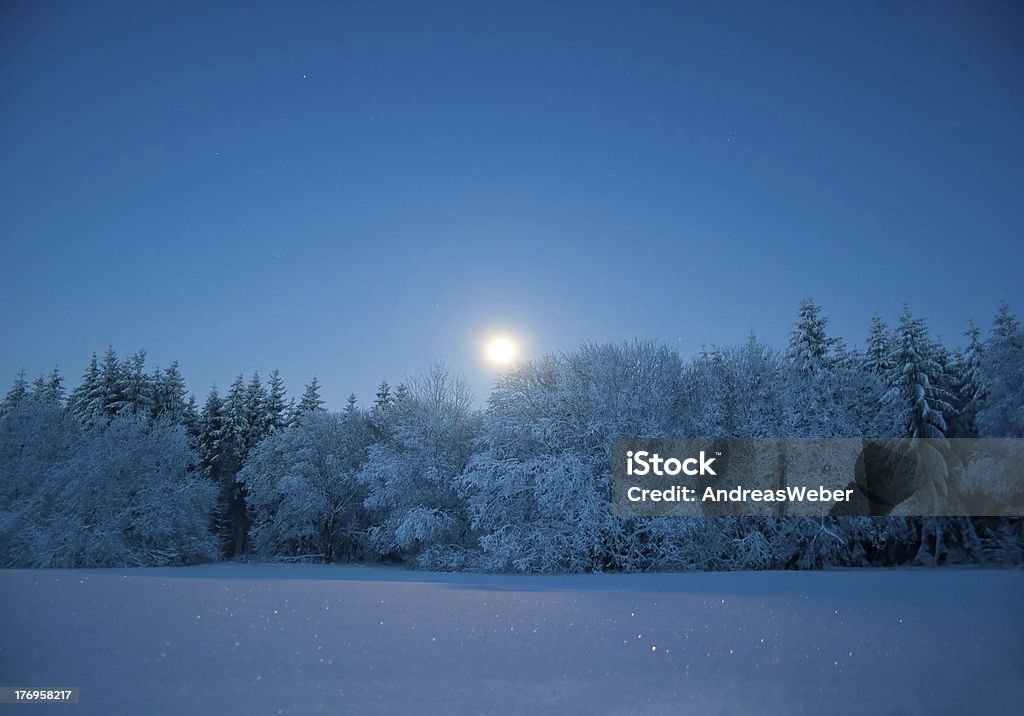 Paisagem de noite com Lua e neve - Royalty-free Inverno Foto de stock
