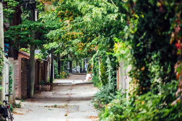 istock Montreal alley - Le Plateau district 1769586711