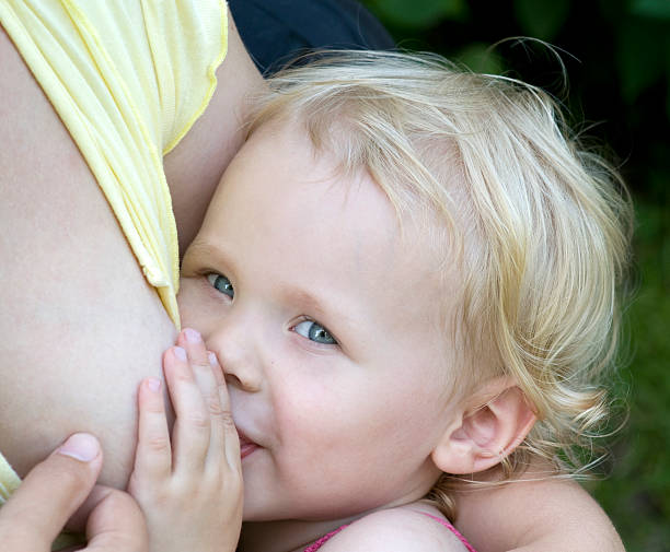 Breastfeeding in The Park. stock photo