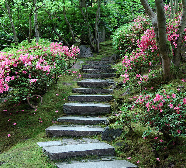 Japanese Garden stairway leading up through green canopy of trees bordered by blooming azeleas