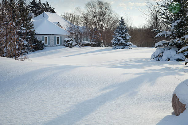 istock Upscale home in snow with pines 176959716