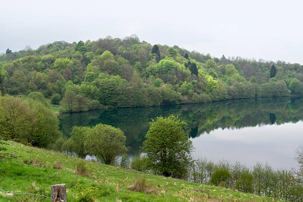 maar di vulkan eifel - lake volcano volcanic crater riverbank foto e immagini stock