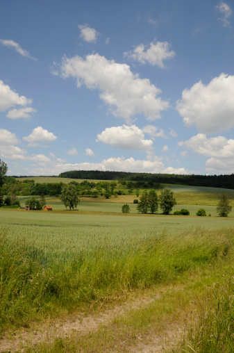 Fields (Germany)