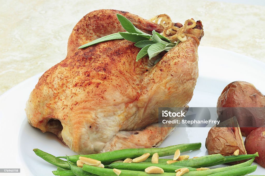 Cornish Hen - Zbiór zdjęć royalty-free (Kurka kornwalijska)