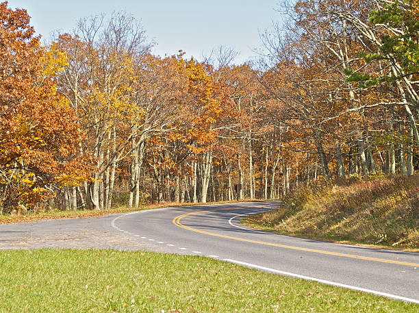 curve on the road stock photo