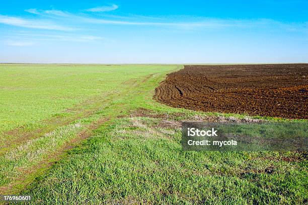 Grün Und Schwarz Field Stockfoto und mehr Bilder von Agrarbetrieb - Agrarbetrieb, Blau, Ebene