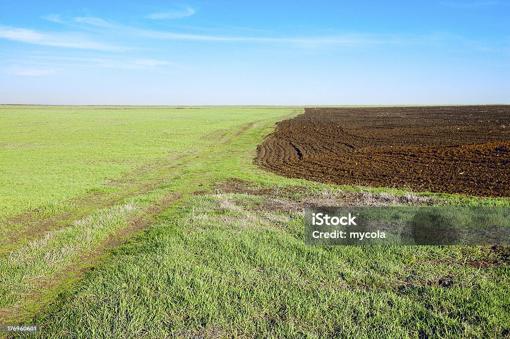 Campo verde e preto - Foto de stock de Agricultura royalty-free