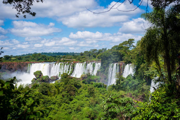 istock Cataratas del Iguazu 1769618426