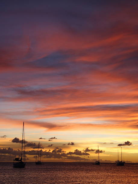 golden caribe cruzeiro ao pôr-do-sol - magic hour - fotografias e filmes do acervo