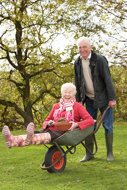 istock Senior couple playing with wheelbarrow 176962561