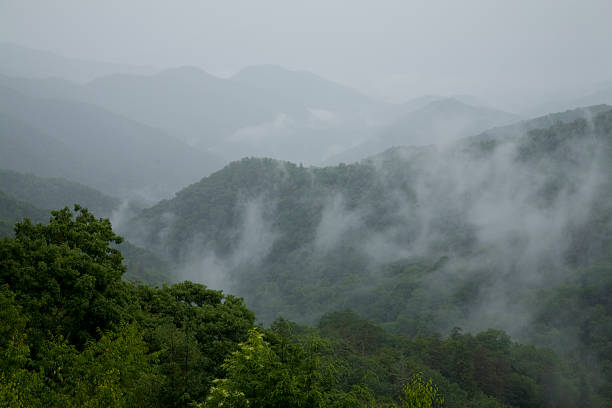 great smoky die berge von nat. park, tn, nc - south highlands stock-fotos und bilder