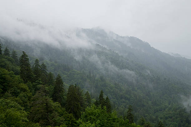 большие дымные mtns nat. парк, tn-северная каролина - south highlands стоковые фото и изображения