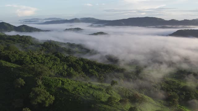 Scenic Cloud Forest Fog Above Green Costa Rican Jungle, 4K Drone Flyover