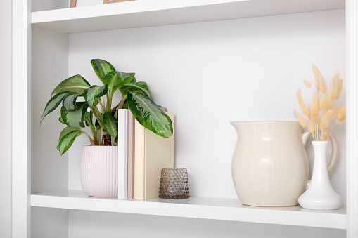 Interior design. Shelf with stylish accessories, potted plant and books near white wall