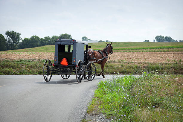 istock Amish buggy in Lancaster County, Pennsylvania 176963637