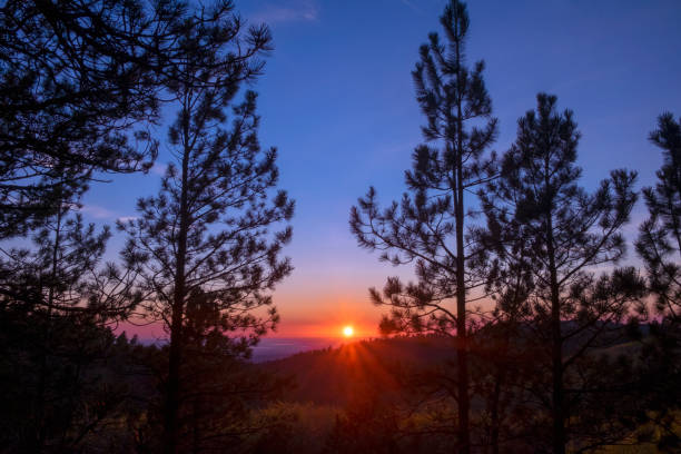 Autumn sunset in the Black Hills of South Dakota Autumn sunset on Bear Lodge Mountain in the Black Hills of South Dakota, USA black hills national forest stock pictures, royalty-free photos & images