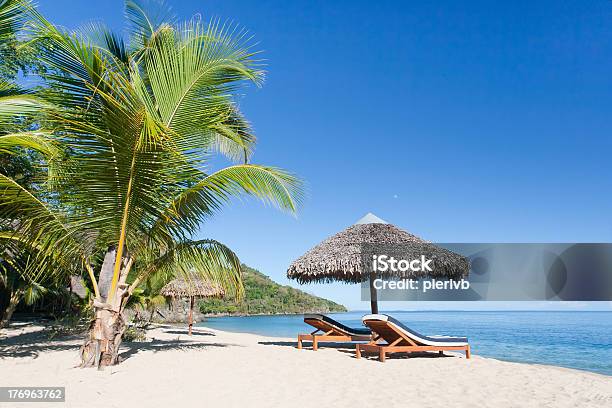 Tropical Empty Island With Palms And Some Beach Chairs Stock Photo - Download Image Now