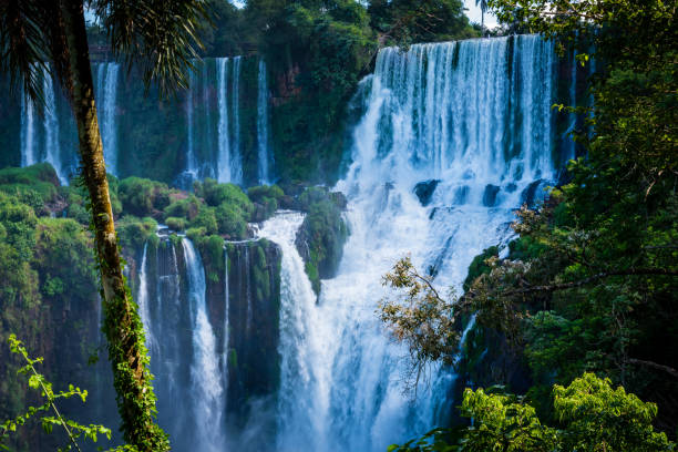 istock Cataratas del Iguazu 1769642287