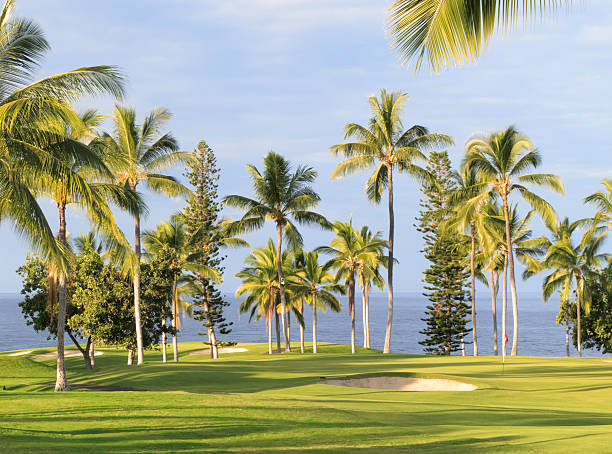 istock Tropical greens are a golfer's dream 176965520