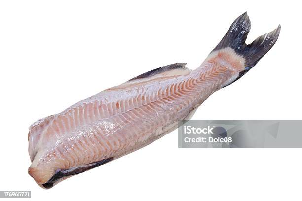 Catfish Stock Photo - Download Image Now - Catfish, Full Length, Animal Fin