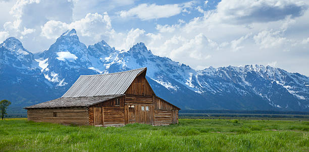istock Old barn in field below Grand Tetons mountains 176966945