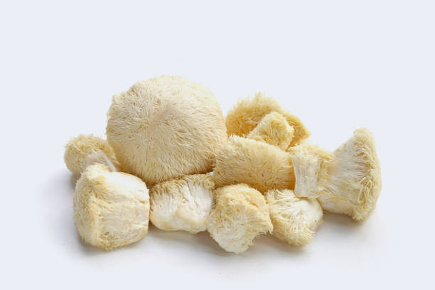 istock Fresh lion's mane mushroom. (Yamabushitake Mushroom) 1769669612