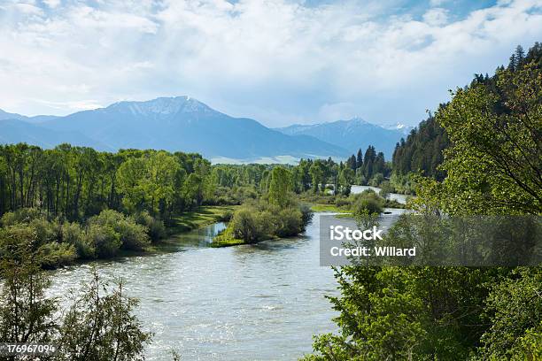 Bäume Und Fluss Im Tal Mit Bergen Im Hintergrund Stockfoto und mehr Bilder von Idaho - Idaho, Snake River, Baum