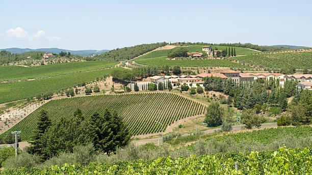 istock Chianti in Tuscany 176967263